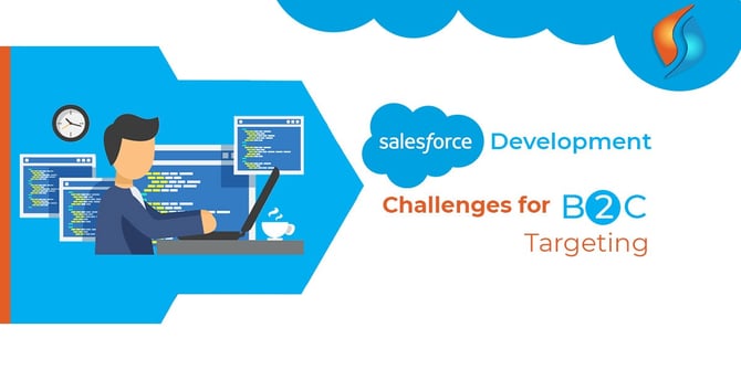 Salesforce Development Challenges for B2C Targeting