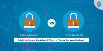 Public or Private Blockchain? What to Choose For Your Business?