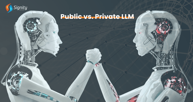 Public vs. Private LLM